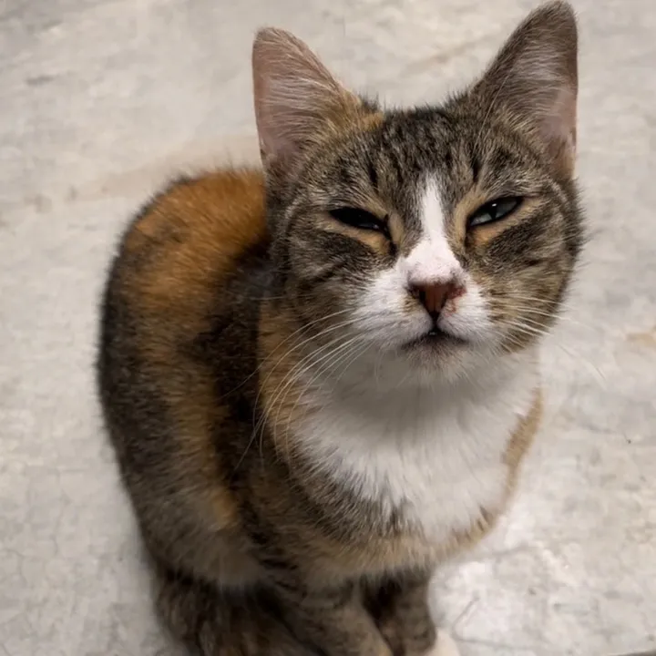 Coco